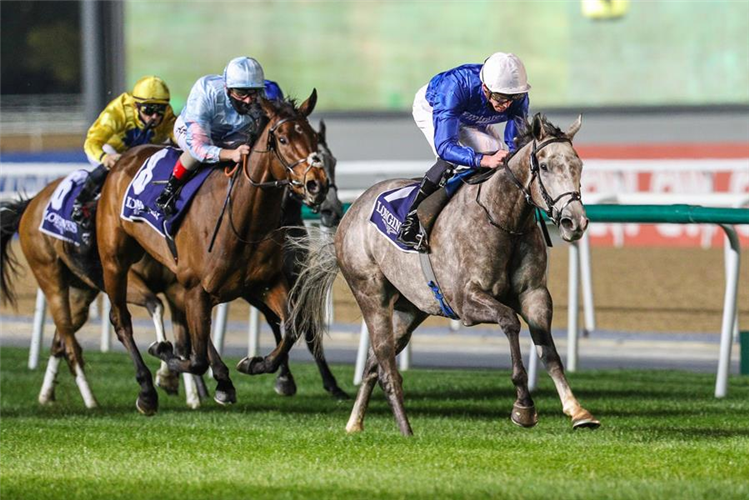 ALTHIQA winning the Cape Verdi Presented By Longines