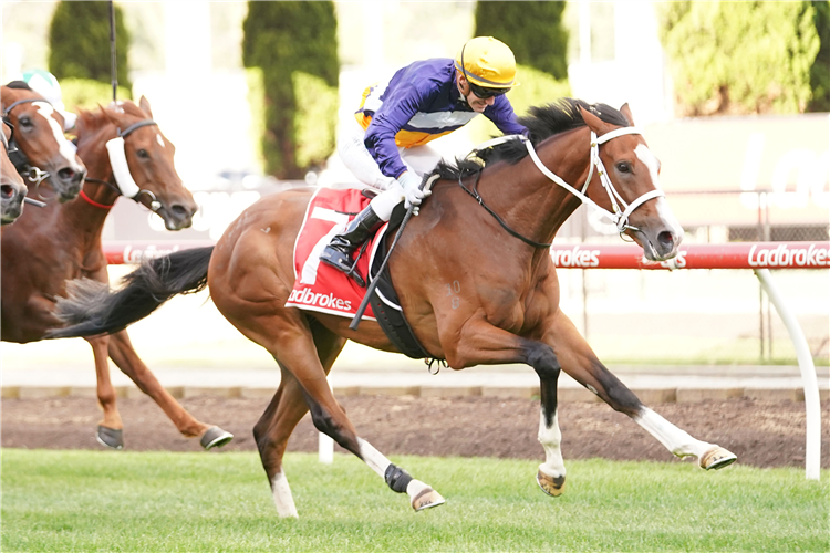 ALVERDUN winning the Ladbroke It! Plate at Moonee Valley in Moonee Ponds, Australia.