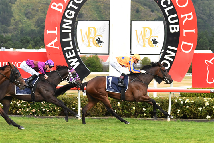 AMARELINHA winning the Al Basti Equiworld Nz Oaks