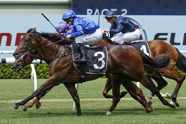 ANAMOE winning the Unsw Todman Stakes