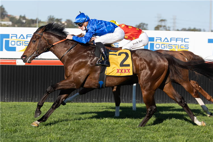 ANAMOE winning the Run To The Rose at Kembla Grange in Australia.