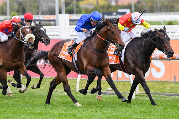 ANAMOE (blue cap) winning the Caulfield Guineas at Caulfield in Australia.