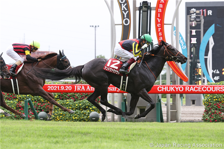 ANDVARANAUT winning the Sho Rose Stakes at Chukyo in Japan.