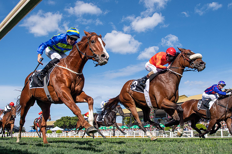 APACHE CHASE winning the Mullins Lawyers F Best Classic