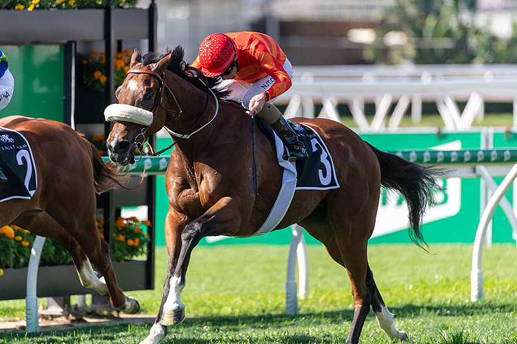 APACHE CHASE winning the Mullins Lawyers F Best Classic