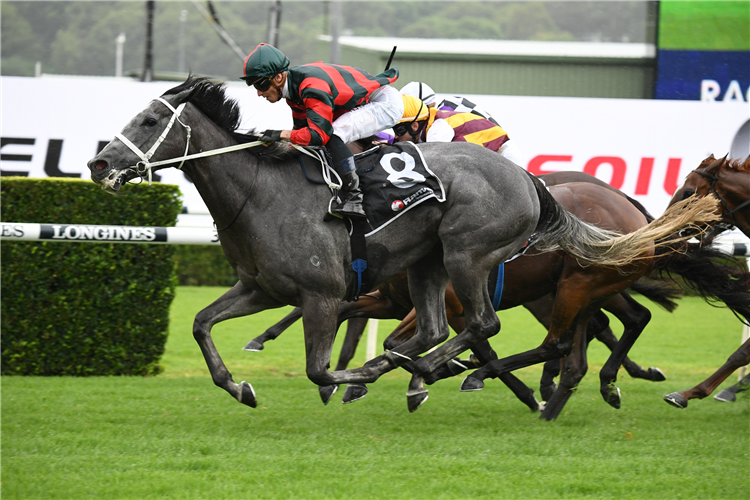 APRIL RAIN winning the Ranvet (Bm78) at Randwick in Australia.