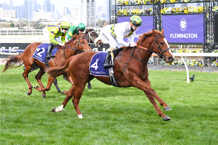 ARGENTIA winning the VRC Member Philip Jacobsen Sprint at Flemington in Australia.