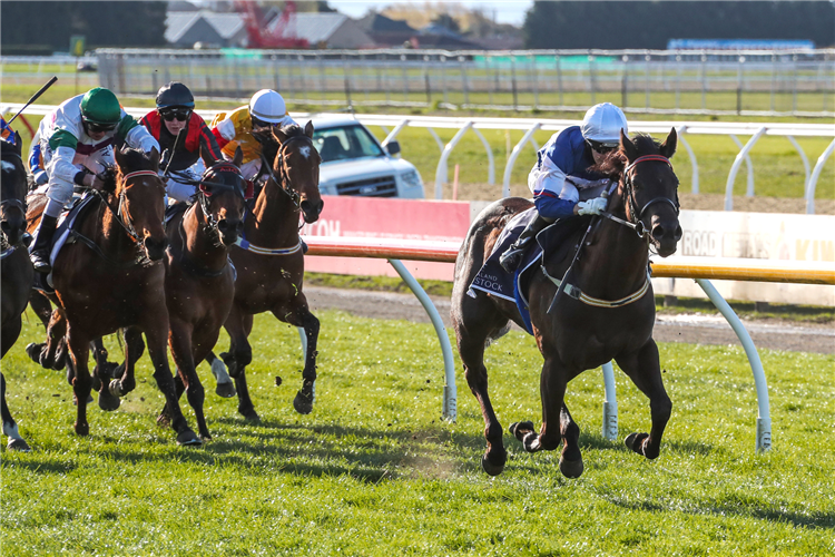 Canterbury Winners - Tips For Wednesday, 2nd March 2022 | Racing and Sports