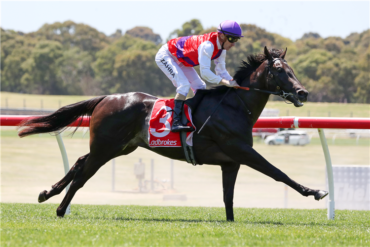 ARTORIUS winning the Switch Hcp at Sandown Hillside in Australia.