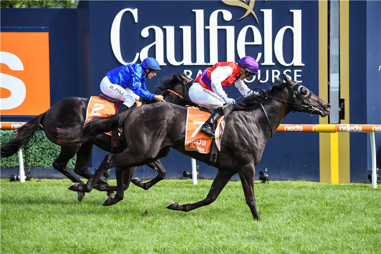 ARTORIUS winning the Blue Diamond Stakes at Caulfield in Australia.