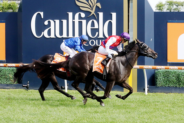 ARTORIUS winning the Blue Diamond Stakes.