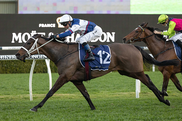 ATISHU winning the Darwin Turf Club Trophy (Bm88)