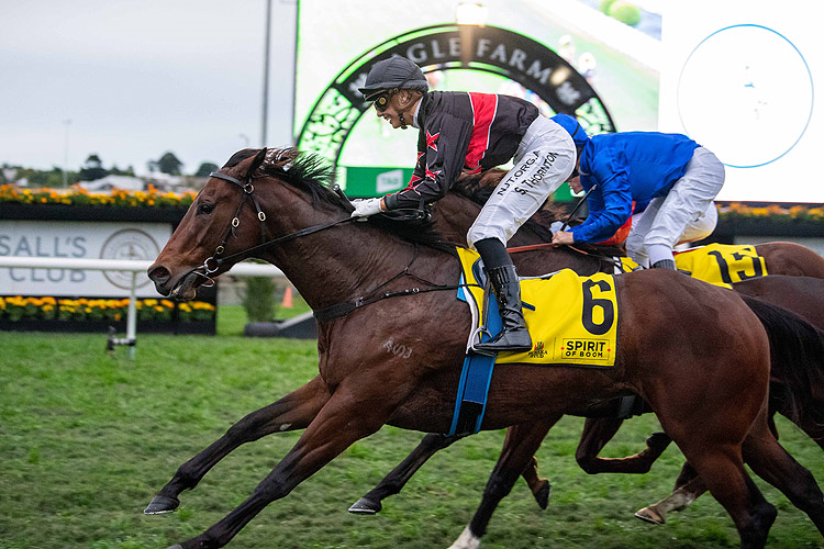 AWAY GAME winning the Eureka Stud W.J. Healy Stakes