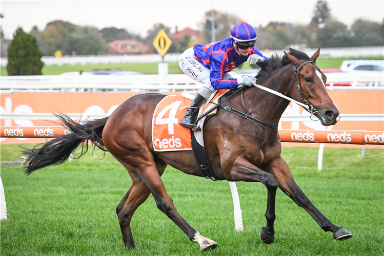 AYRTON winning the Darren Gauci Hcp at Caulfield in Australia.