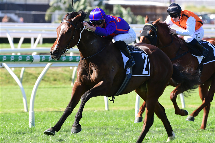 AYRTON winning the James Squire Gunsynd Classic