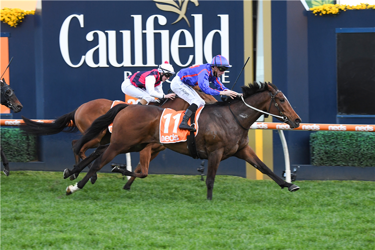 AYRTON winning the Neds Filter Form Hcp at Caulfield in Australia.