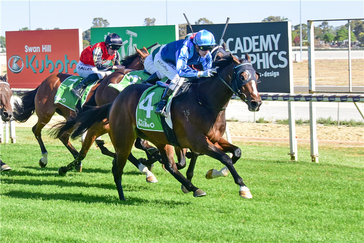 AZNAVOUR  winning the Drinking. Driving. They're Better Apart Maiden Plate  in Swan Hill, Australia. 