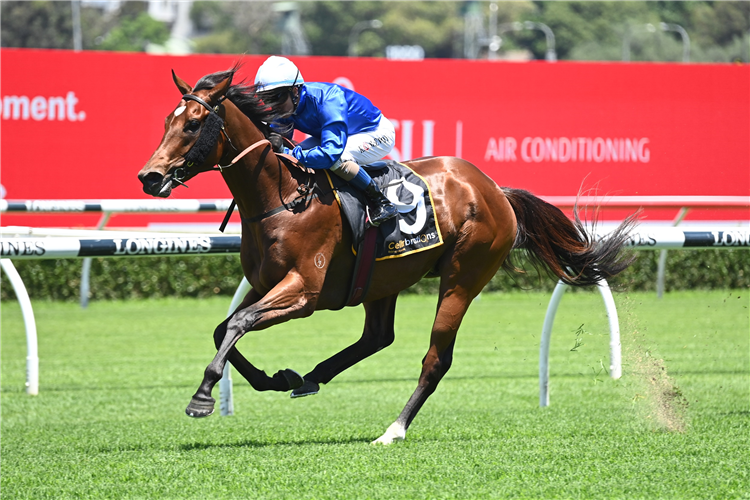 BACCHANALIA winning the Cellarbrations (Bm72) at Randwick in Australia.