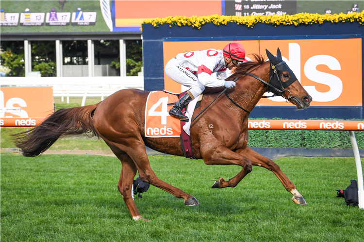 BALLET MASTER winning the Neds Price Boost Hcp at Caulfield in Australia.