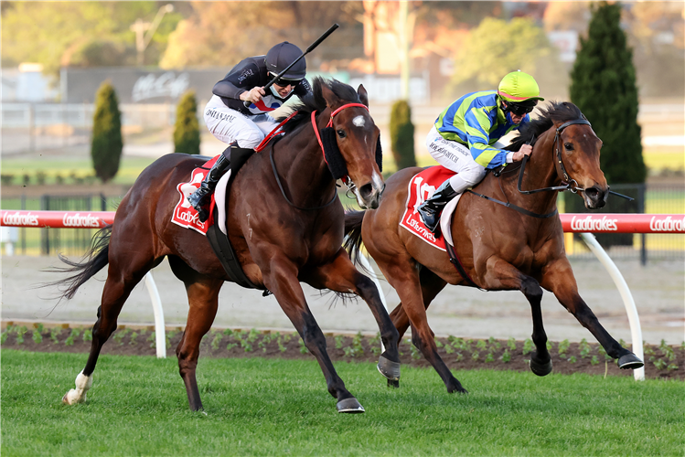 BALLISTIC LOVER (black cap) winning the Carlyon Stakes at Moonee Valley in Australia.