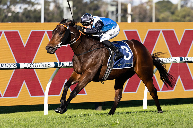 BANDERSNATCH winning the Taylor Civic Stakes