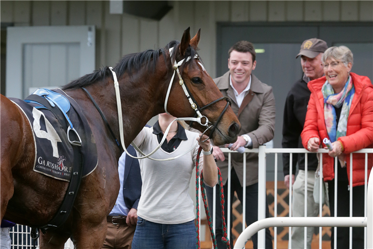 Ross (with cap) and Corrine Kearney (far right) look over their impressive Tauranga winner Bankers Choice