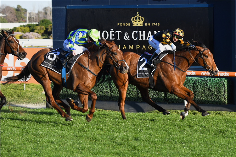 BEHEMOTH winning the Memsie Stakes at Caulfield in Australia.