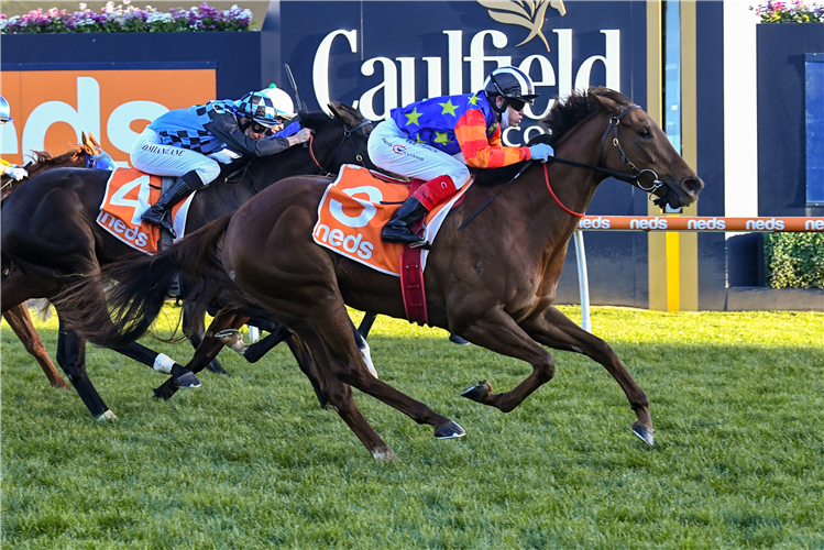 BELLA NIPOTINA winning the How Now Stakes at Caulfield in Australia.