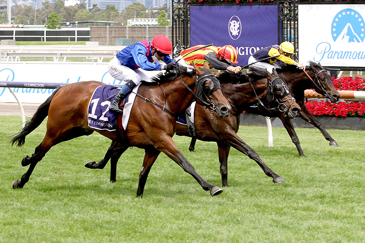 BEND THE KNEE winning the The Amanda Elliott Hcp