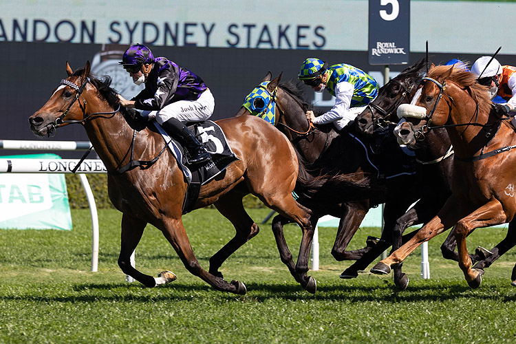 BIG PARADE winning the Moet & Chandon Sydney Stks