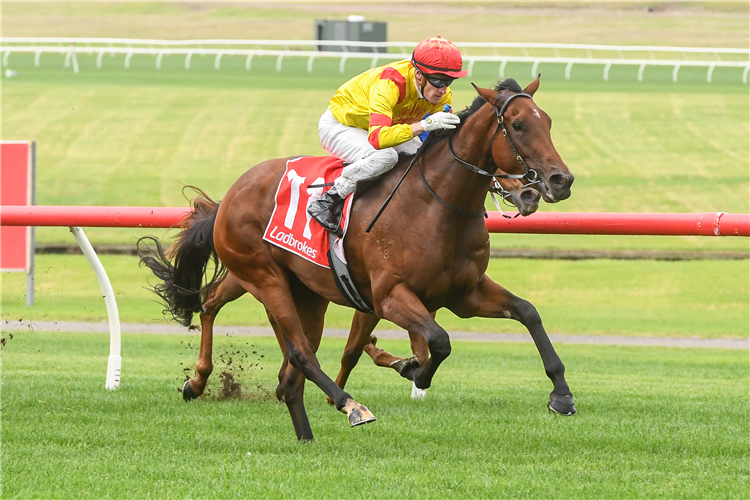 BISCAYNE BAY winning the Ladbrokes Easy Form Handicap at Ladbrokes Park Lakeside in Springvale, Australia.