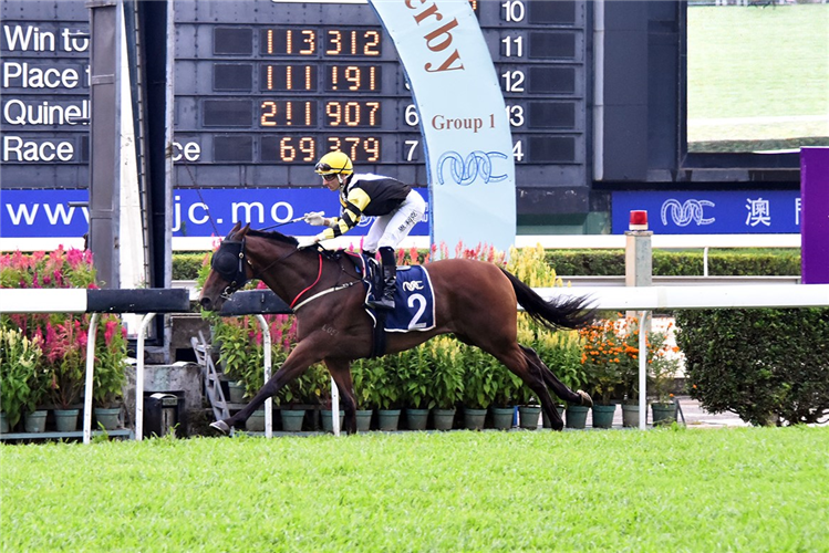 BLACKJACK MOK winning the THE OKAYAMA