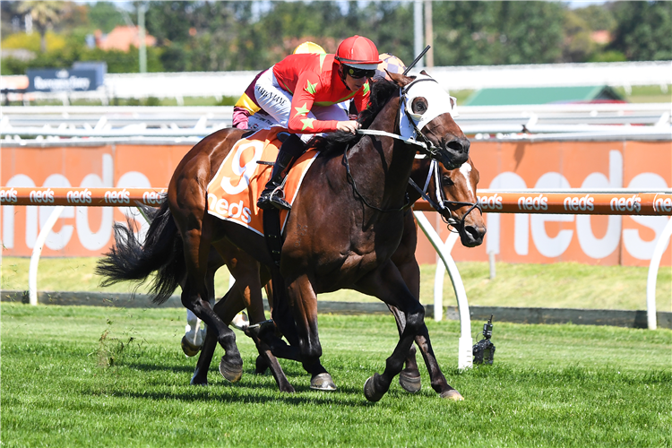 BLUE ARMY winning the Neds Sandown Guineas at Caulfield in Australia.