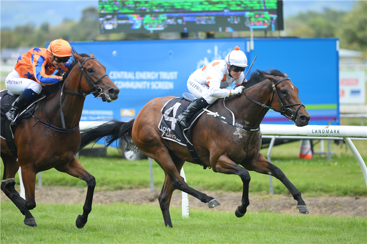 BONHAM winning the Spreading Rural Bulk 3yo