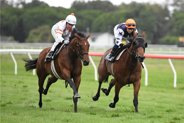 Bonham (outside) and Hold The Press during their exhibition gallop at Otaki on Wednesday.