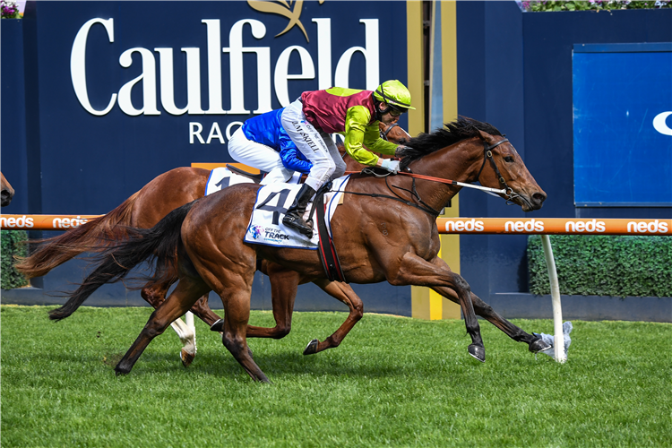 BON'S A PEARLA winning the Off The Track Community TG Prelude at Caulfield in Australia.