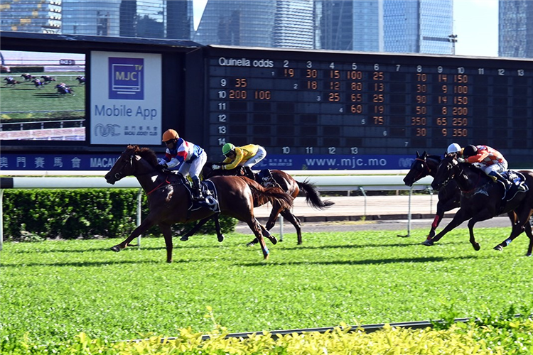 BOTTMINGEN winning the THE COLINA DA PENHA