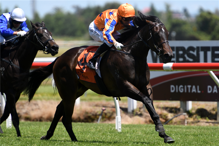 BRIGHT BLUE SKY winning the Fasttrack Insurance 2yo Stakes