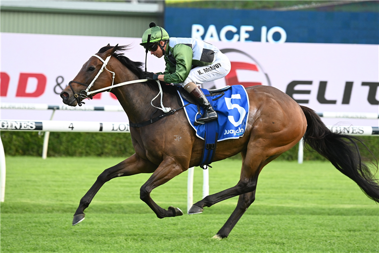 BROOKSPIRE winning the Quayclean (Bm78) at Randwick in Australia.