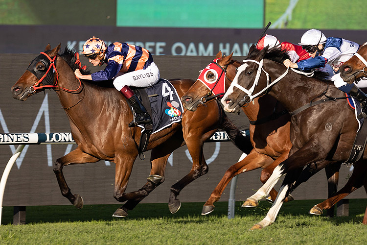 BRUTALITY winning the Keith Free Oam (Bm88)