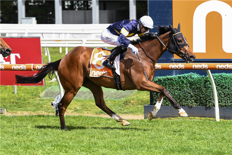 BUFFALO RIVER winning the Moonga Stakes at Caulfield in Australia.