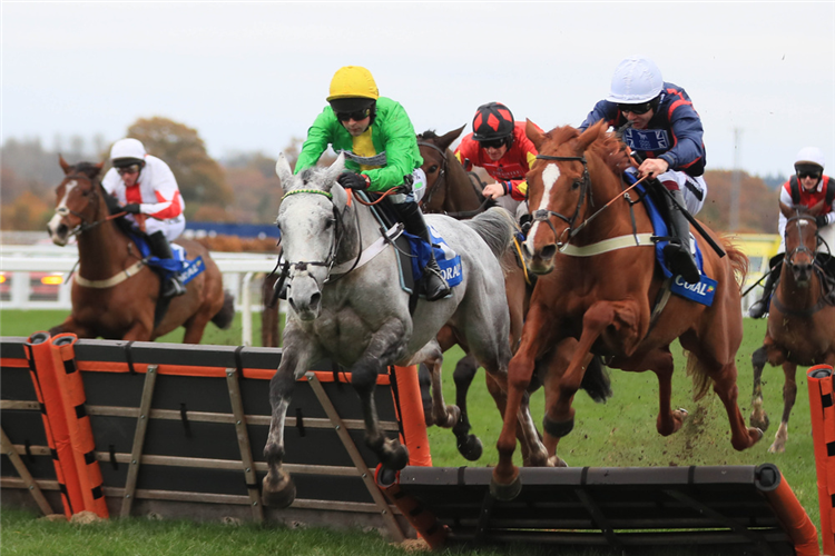 BUZZ winning the Coral Hurdle (Registered As The Ascot Hurdle) (Grade 2) (GBB Race)