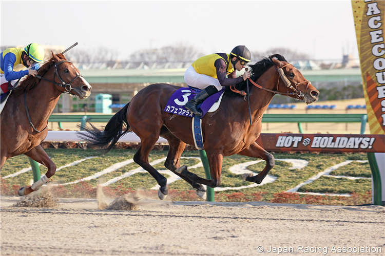 CAFE PHAROAH winning the February Stakes at Tokyo in Japan.