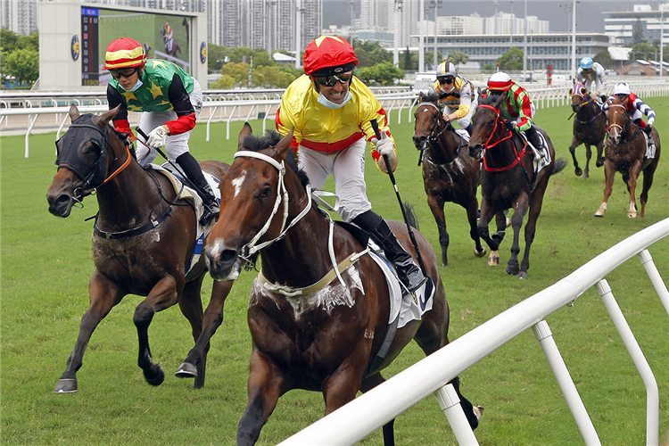 CALIFORNIA SPANGLE winning the Tung Wan Griffin Plate