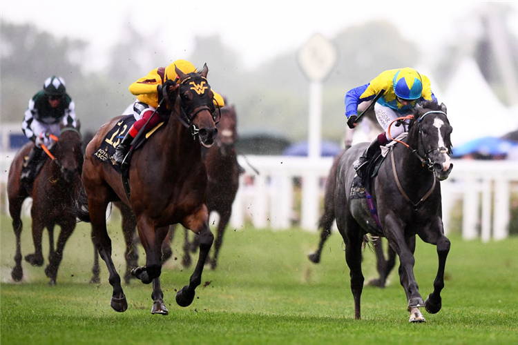 CAMPANELLE (L) winning the Commonwealth Cup at Ascot in England.
