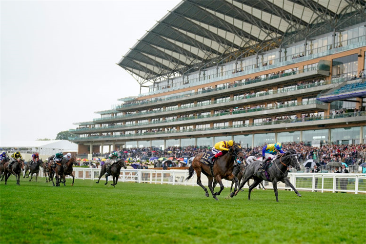 CAMPANELLE (yellow cap) winning the Commonwealth Cup at Ascot in England.