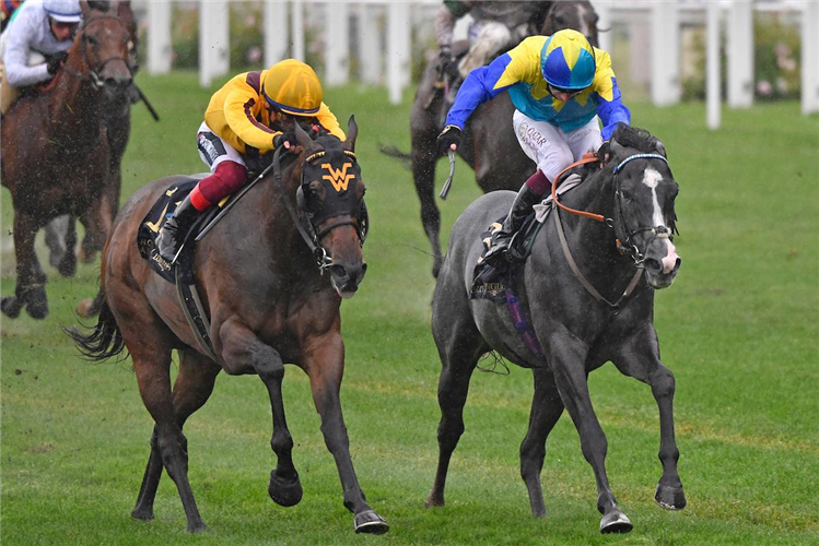 CAMPANELLE(yellow) winning the Commonwealth Cup (Group 1) (British Champions Series)