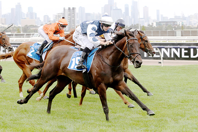 CAPRICCIO winning the Inglis Dash