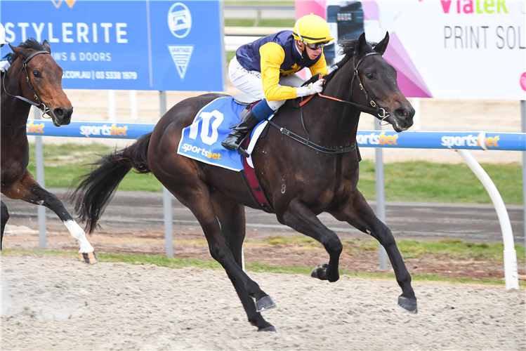 CARDINAL GEM winning the Cervus Equipment Maiden Plate at Sportsbet-Ballarat Synthetic in Ballarat, Australia.