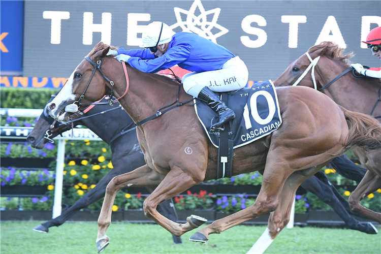 CASCADIAN winning the The Star Doncaster Mile at Randwick in Australia.